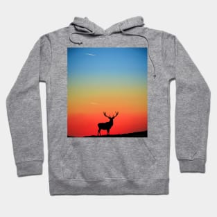 Stag Sunset Hoodie